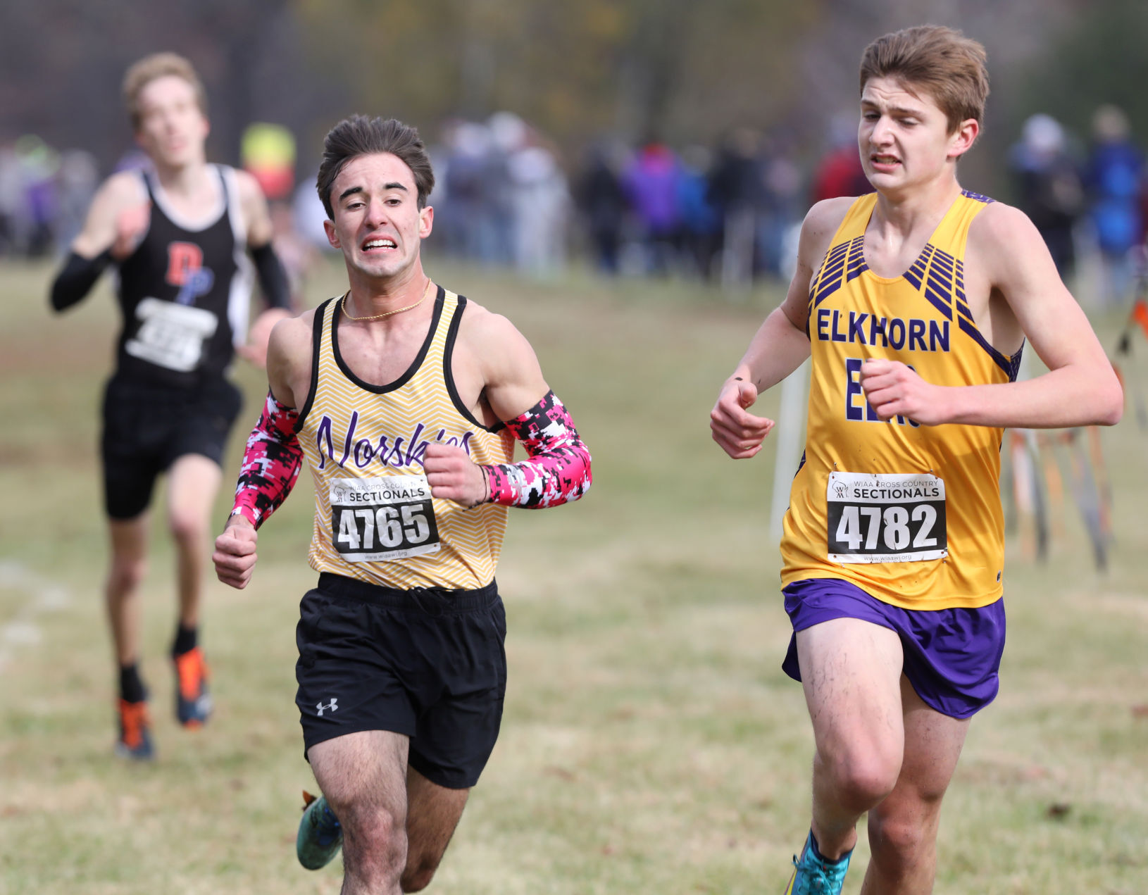 WIAA girls and boys cross country sectional